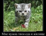 Мне нужна твоя еда и жилище