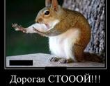 Дорогая стой. Я сам припаркуюсь