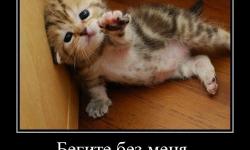 Бегите без меня