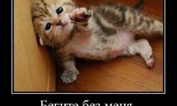 Бегите без меня