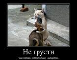 Не грусти