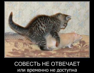 Совесть не отвечает