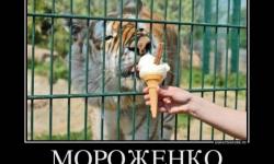 Мороженко