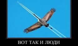 Вот так и люди