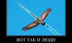 Вот так и люди