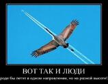 Вот так и люди