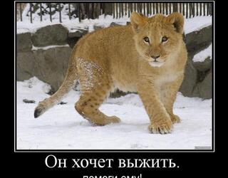 Он хочет выжить