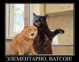 Элементарно ватсон