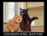 Элементарно ватсон