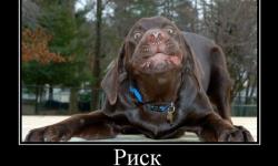 Риск это попытка пукнуть при поносе