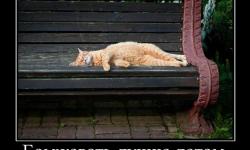 Бомжевать лучше летом