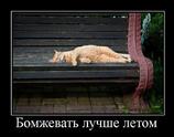 Бомжевать лучше летом