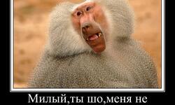 Милы ты шо меня не узнаешь?