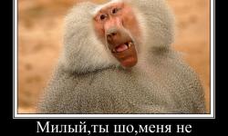 Милы ты шо меня не узнаешь?