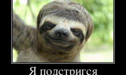 Я подстригся