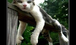 Как здорово ничего не делать