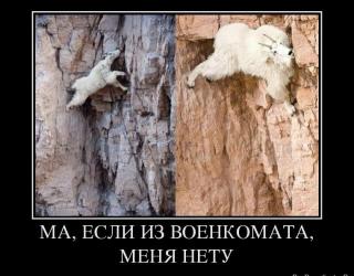 Если из военкомата, меня нету