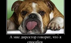 А мне директор говорит