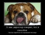 А мне директор говорит