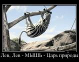 Лев Лев МЫШЬ