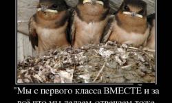 Мы с первого класса вместе