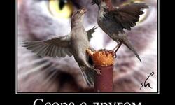 Ссора с другом