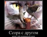 Ссора с другом