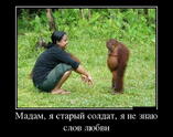 Мадам я старый солдат