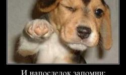 И напоследок запомни