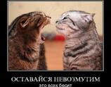 Оставайся невозмутим