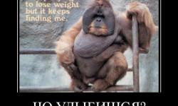 Чо улыбишься?