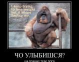 Чо улыбишься?