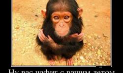 Ну Вас нафиг с вашим летом