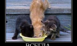 Всегда будь Выше