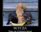 Всегда будь Выше