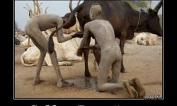 Суббота банный день