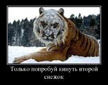 Только попробуй кинуть
