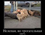 Нелепая но трогательная