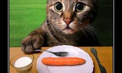 Ты чо охренел?