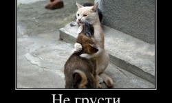 Не грусти