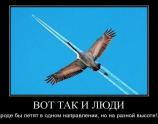 Вот так и люди