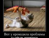 Вот у крокодила проблемы
