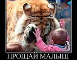 Прощай малыш