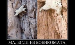 Если из военкомата, меня нету