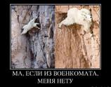 Если из военкомата, меня нету