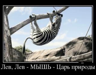Лев Лев МЫШЬ