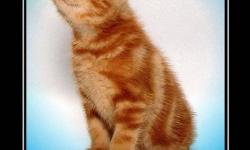 Если достаточно долго смотреть