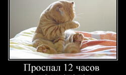 Проспал 12 часов и не выспался