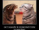 Оставайся невозмутим