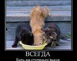 Всегда будь Выше